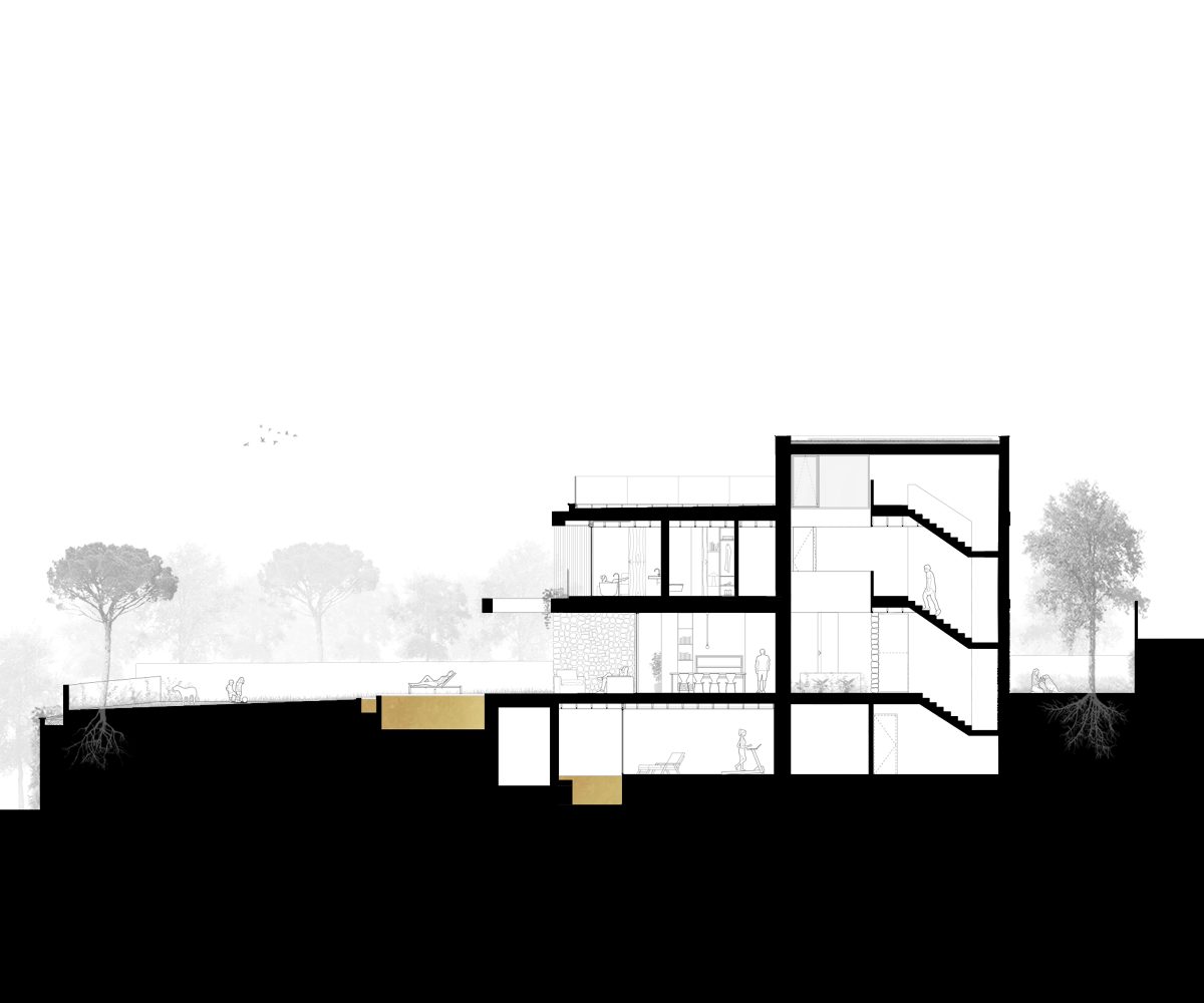 Jofre Roca Taller Arquitectura casa Murs Pedralbes Barcelona seccio