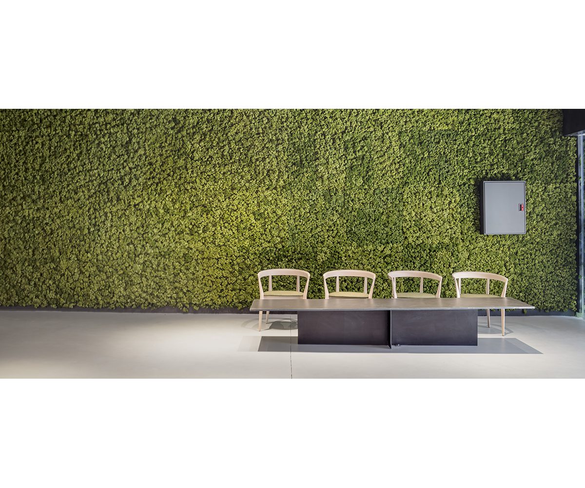 Jofre Roca Taller Arquitectura reforma edifici oficines 22@ Barcelona mur verd
