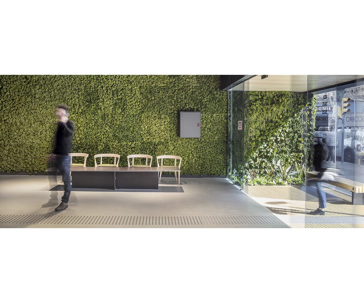 Jofre Roca Taller Arquitectura reforma edifici oficines 22@ Barcelona vegetació
